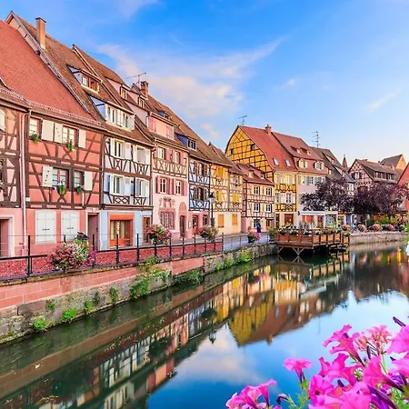 Muensterblick * Breisach